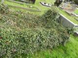 image of grave number 683700